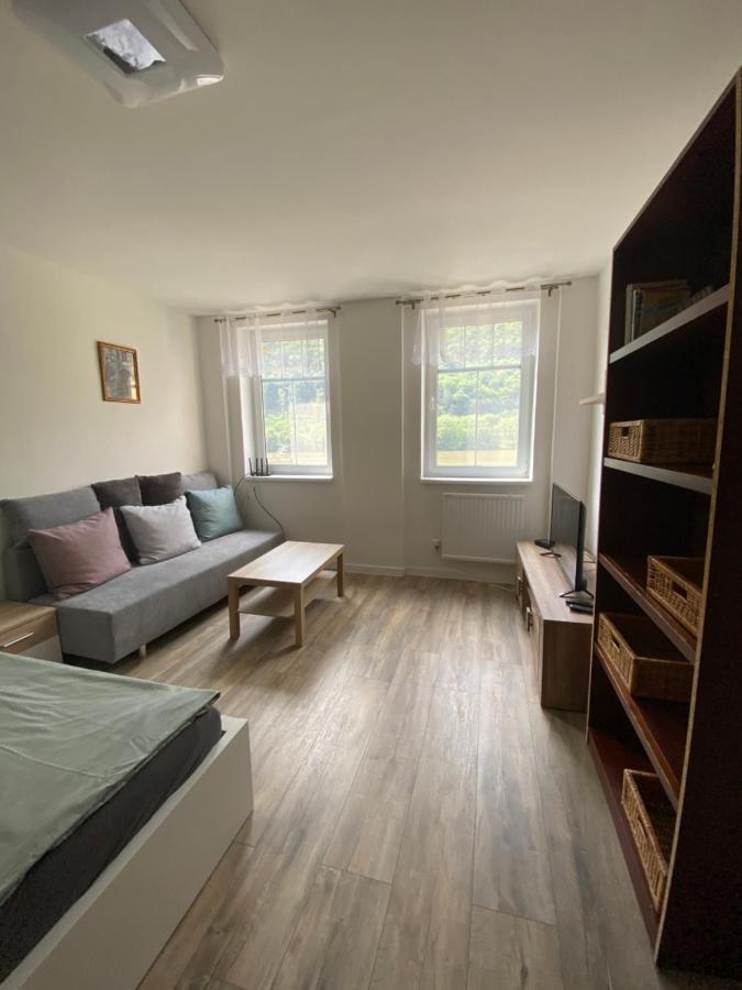 Ústí nad Labem Apartmany U Viaduktu 46 מראה חיצוני תמונה